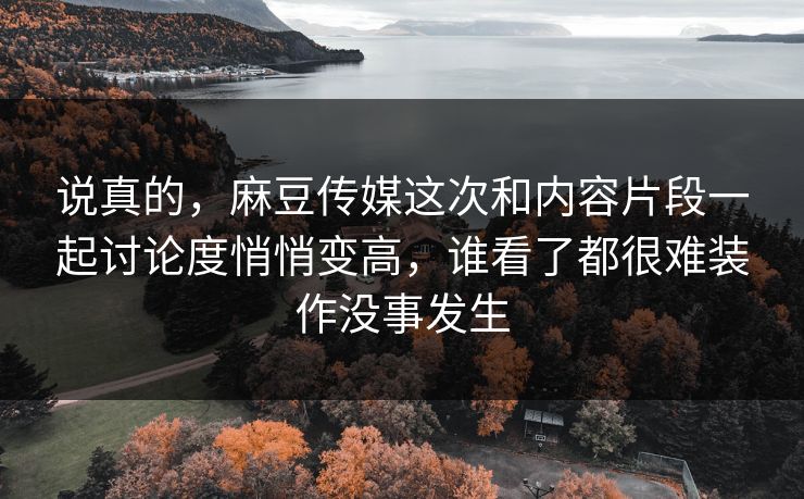 说真的，麻豆传媒这次和内容片段一起讨论度悄悄变高，谁看了都很难装作没事发生