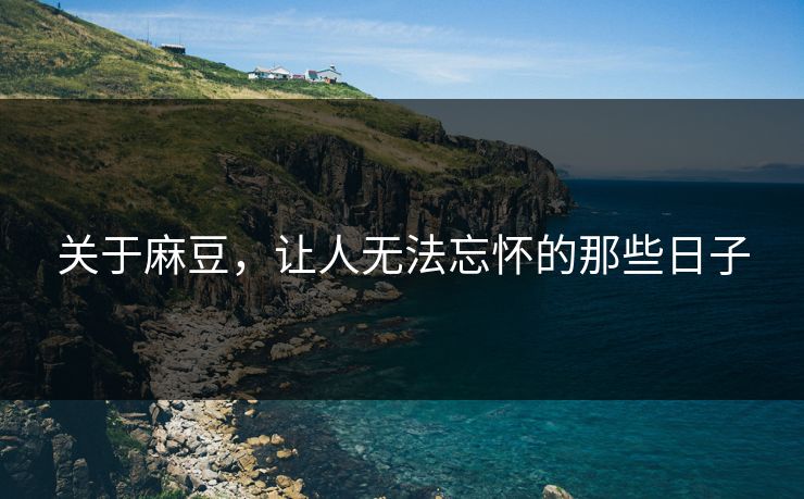 关于麻豆，让人无法忘怀的那些日子