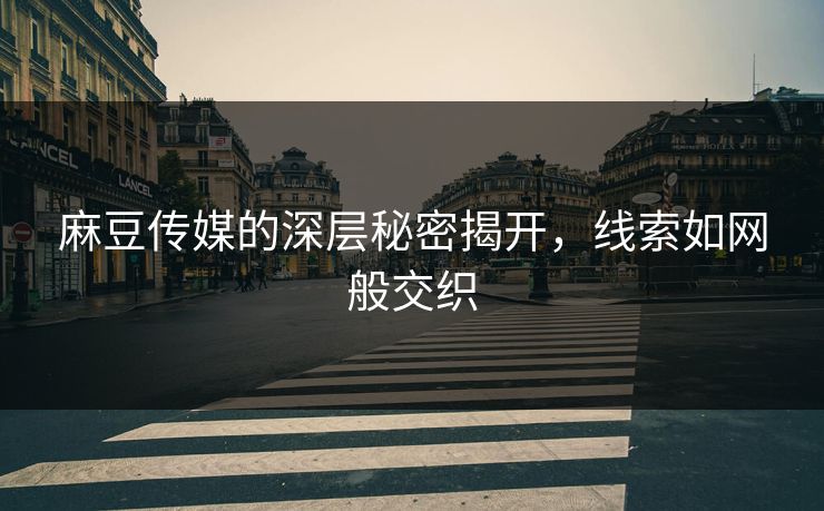 麻豆传媒的深层秘密揭开,线索如网般交织