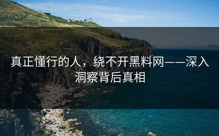 真正懂行的人，绕不开黑料网——深入洞察背后真相